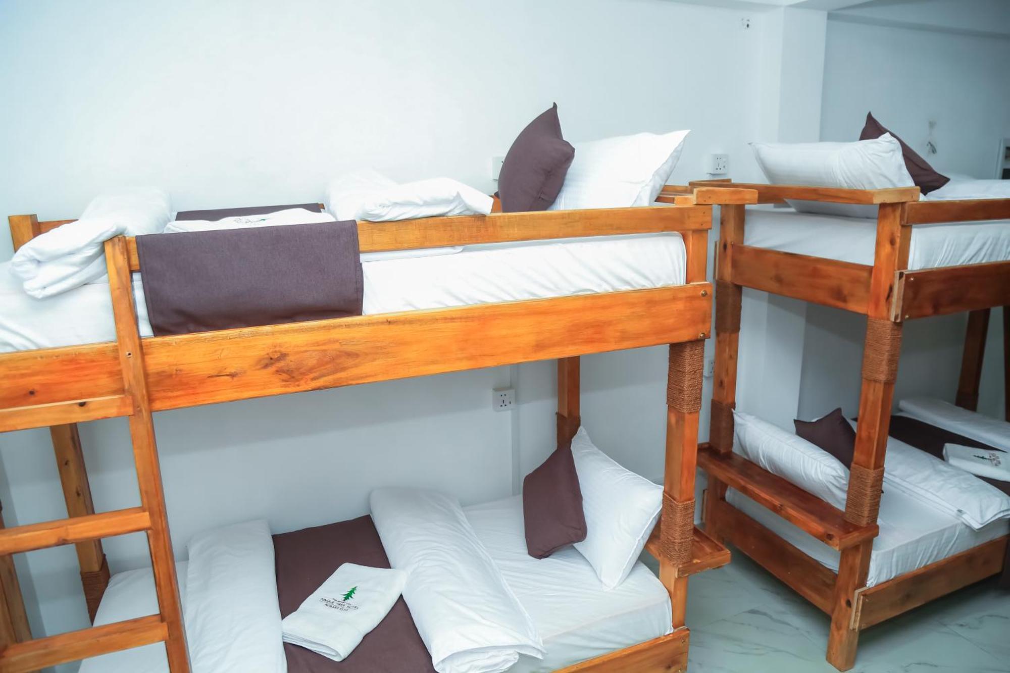 The Mount View Single Tree Hotel Nuwara Eliya Luaran gambar